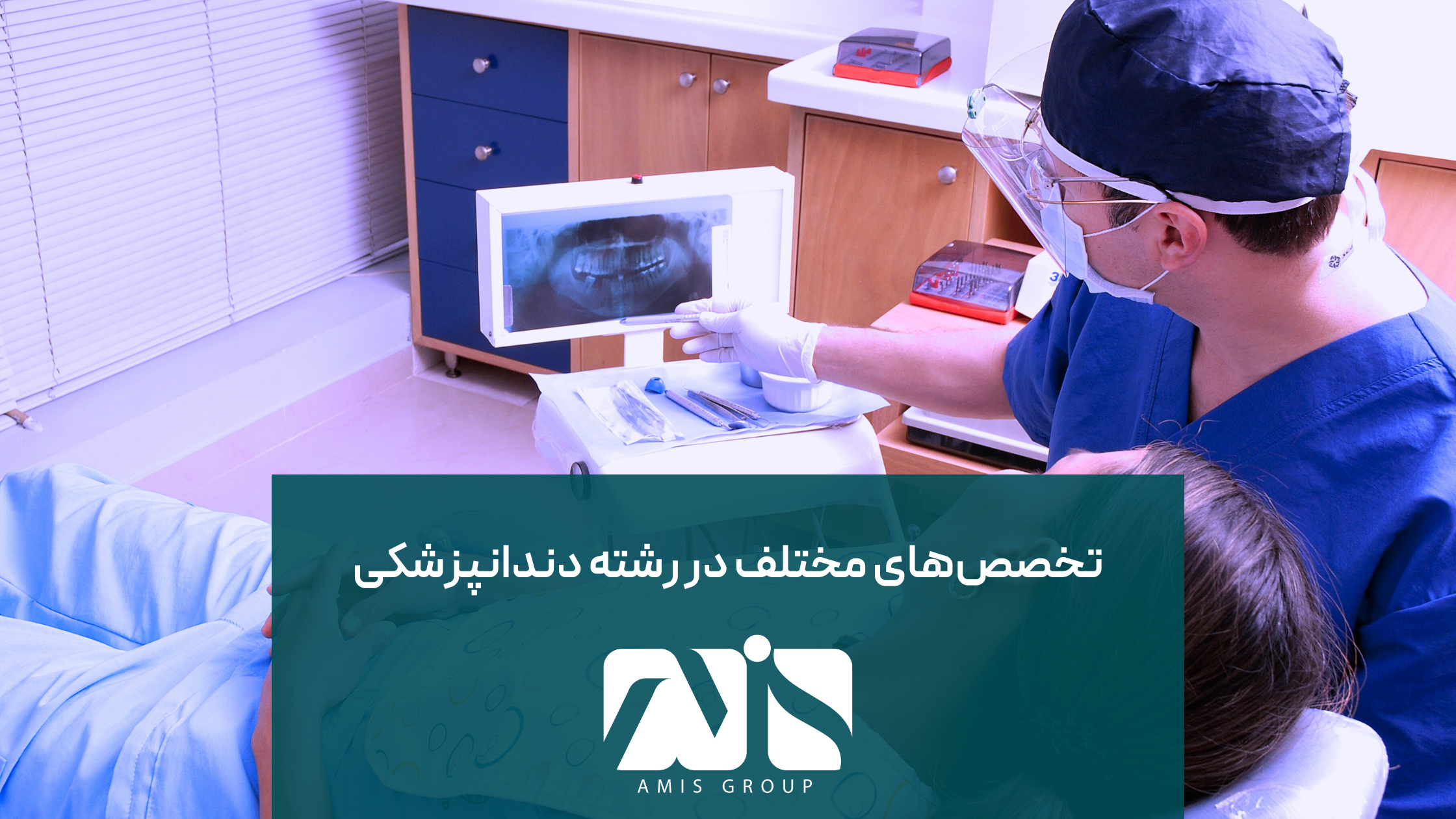 این تصویر بیانگر تخصصهای متفاوت در رشته دندانپزشکی آلمان است.