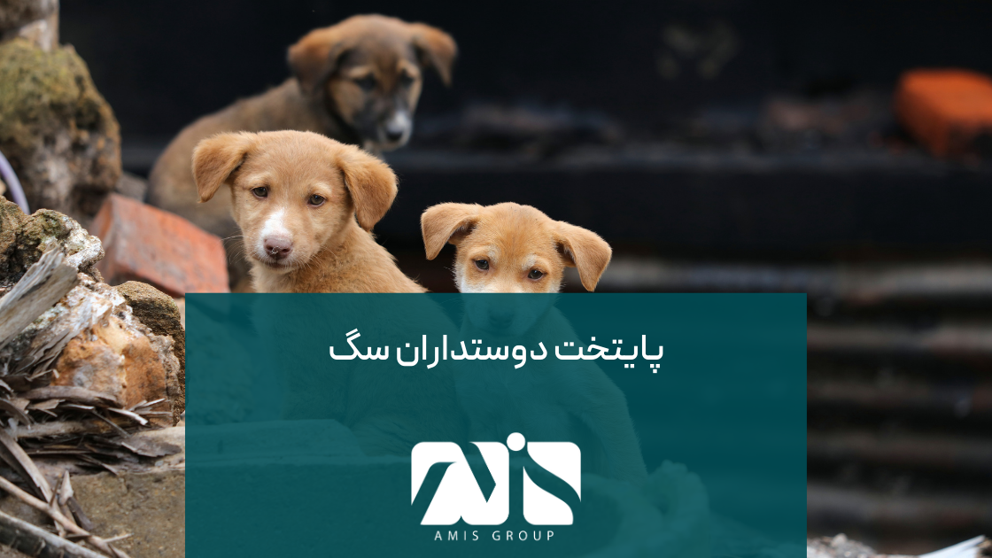 یکی از حقایق جالب برلین این است که این شهر یک شهر ایدهآل برای سگهاست.
